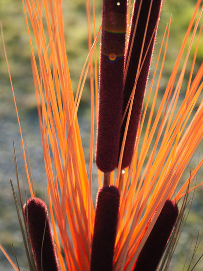 Europalms Schilfgras mit Kolben, künstlich, hellbraun, 152cm – Ansicht 8