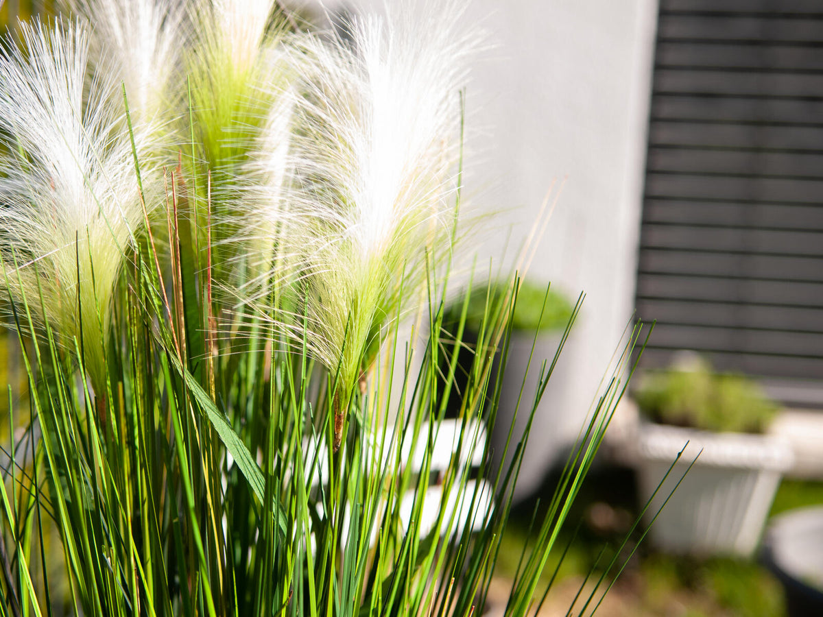 Europalms Federgras, künstlich, weiß, 60cm – Ansicht 7