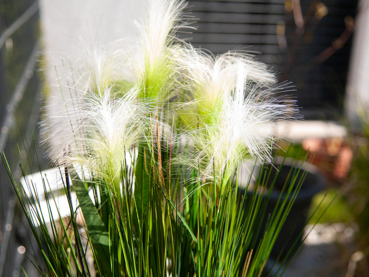 Europalms Federgras, künstlich, weiß, 60cm – Ansicht 8