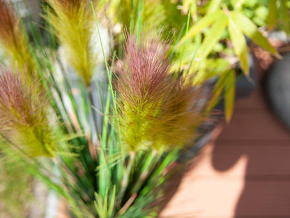 Europalms Federgras, künstlich, rosé, 90cm – Ansicht 10