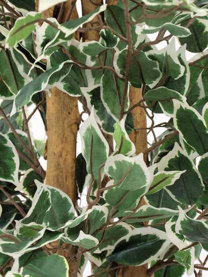 Europalms Silberficus-Benjamini, Kunstpflanze, 180cm – Ansicht 3
