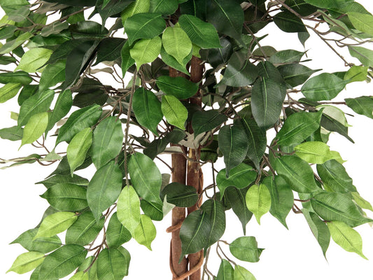 Europalms Ficus-Benjamini Multi-Stamm, Kunstpflanze, 150cm – Ansicht 2