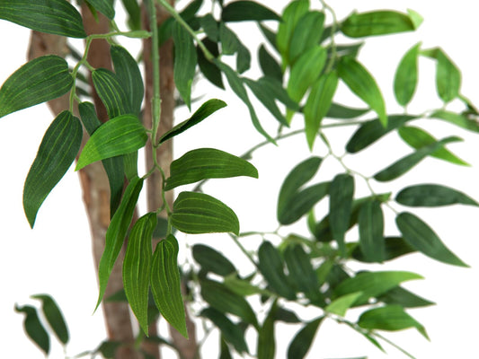 Europalms Ficus Longifolia, Kunstpflanze, 165cm – Ansicht 2