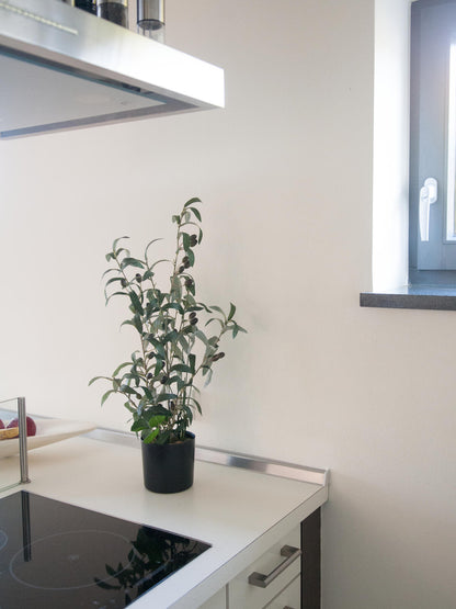 Europalms Olivenbäumchen, Kunstpflanze, 68 cm – Ansicht 5