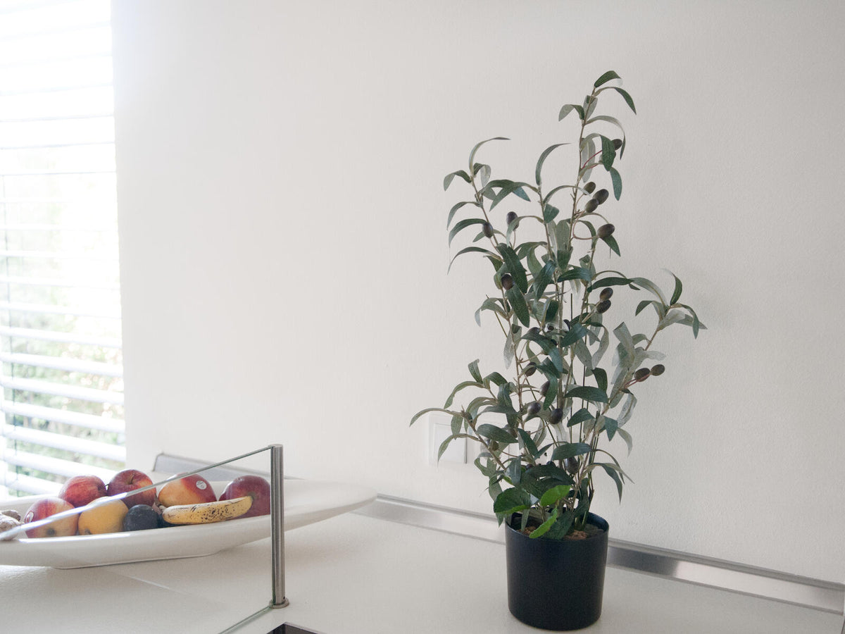 Europalms Olivenbäumchen, Kunstpflanze, 68 cm – Ansicht 6
