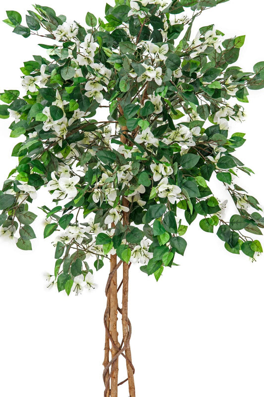 Europalms Bougainvillea, Kunstpflanze, weiß, 180cm – Ansicht 2