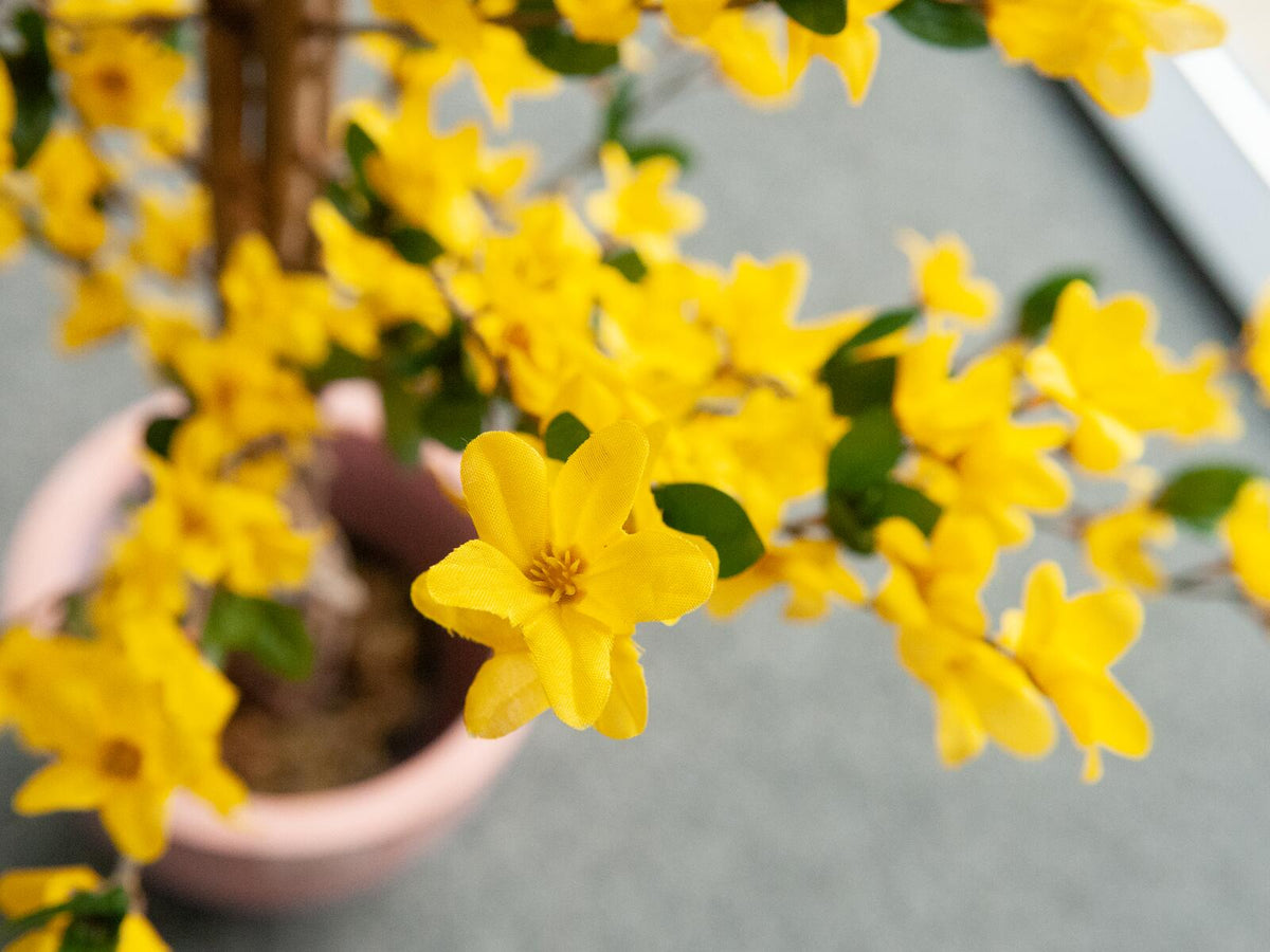 Europalms Forsythienbaum mit 3 Stämmen, Kunstpflanze, gelb, 150cm – Ansicht 4