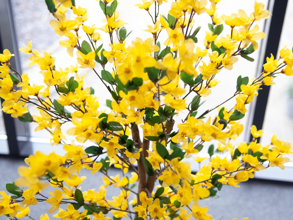 Europalms Forsythienbaum mit 3 Stämmen, Kunstpflanze, gelb, 150cm – Ansicht 5