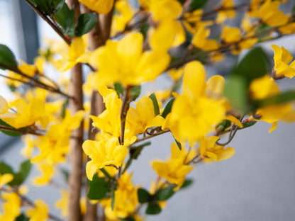 Europalms Forsythienbaum mit 3 Stämmen, Kunstpflanze, gelb, 150cm – Ansicht 7