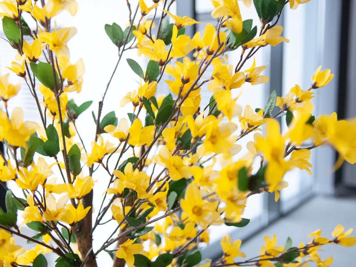 Europalms Forsythienbaum mit 3 Stämmen, Kunstpflanze, gelb, 150cm – Ansicht 8