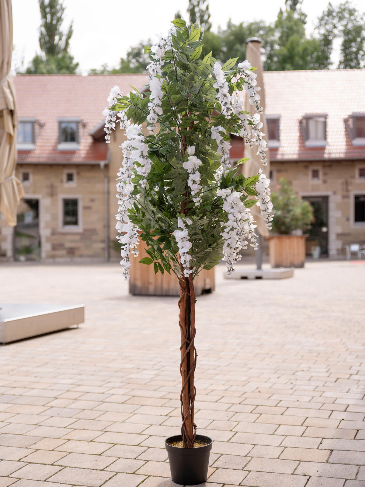 Europalms Goldregenbaum, Kunstpflanze, weiß, 180cm – Ansicht 9