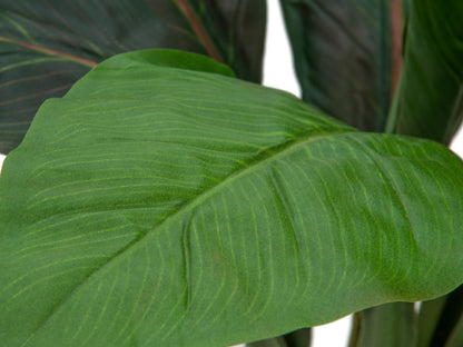 Europalms Mangoldbusch, künstlich, 45cm – Ansicht 2