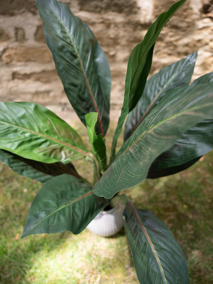 Europalms Mangoldbusch, künstlich, 45cm – Ansicht 6