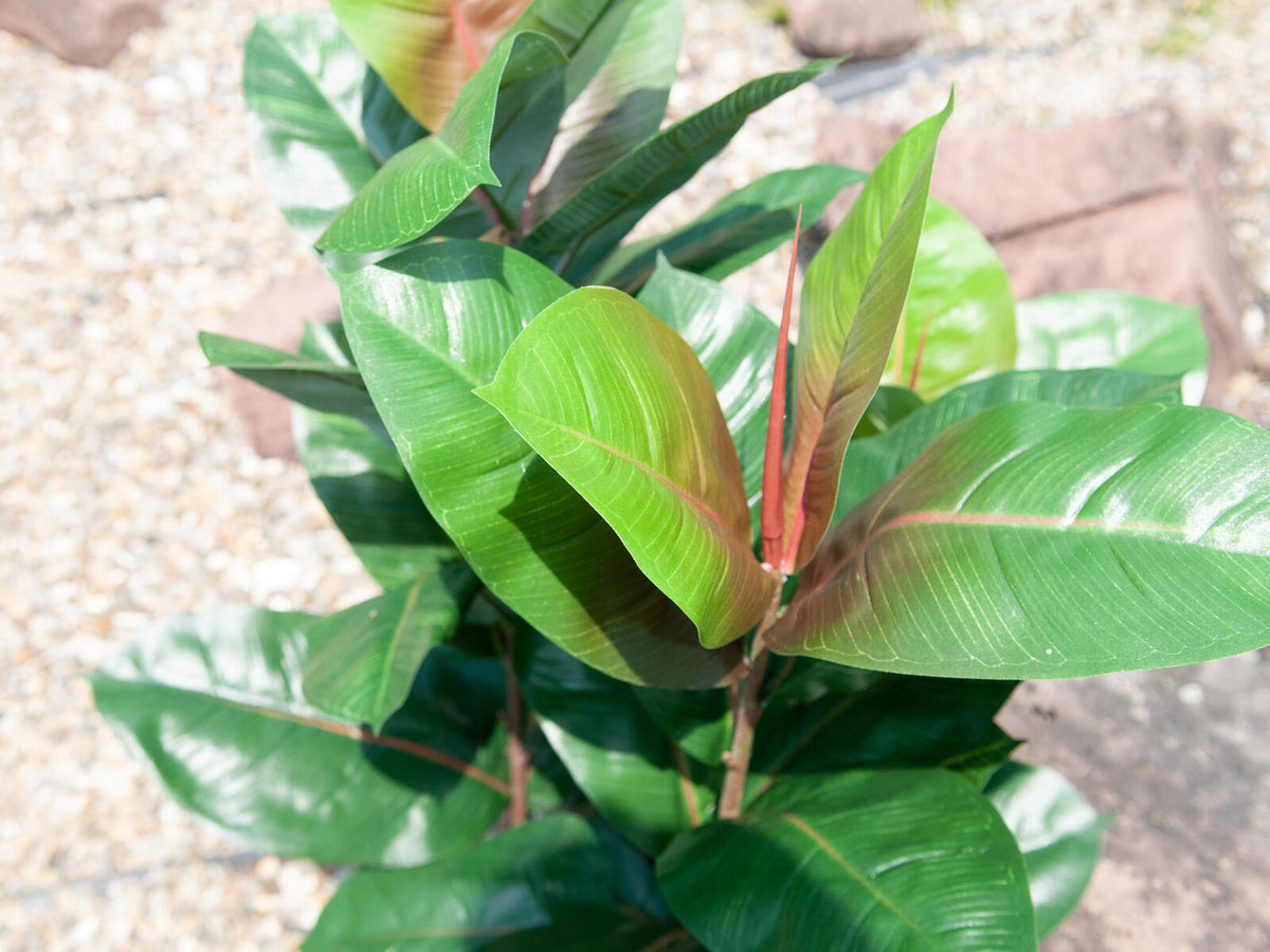 Europalms Gummibaum, Kunstpflanze, 100cm – Ansicht 7
