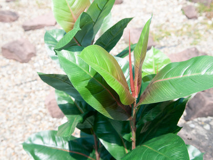 Europalms Gummibaum, Kunstpflanze, 100cm – Ansicht 8