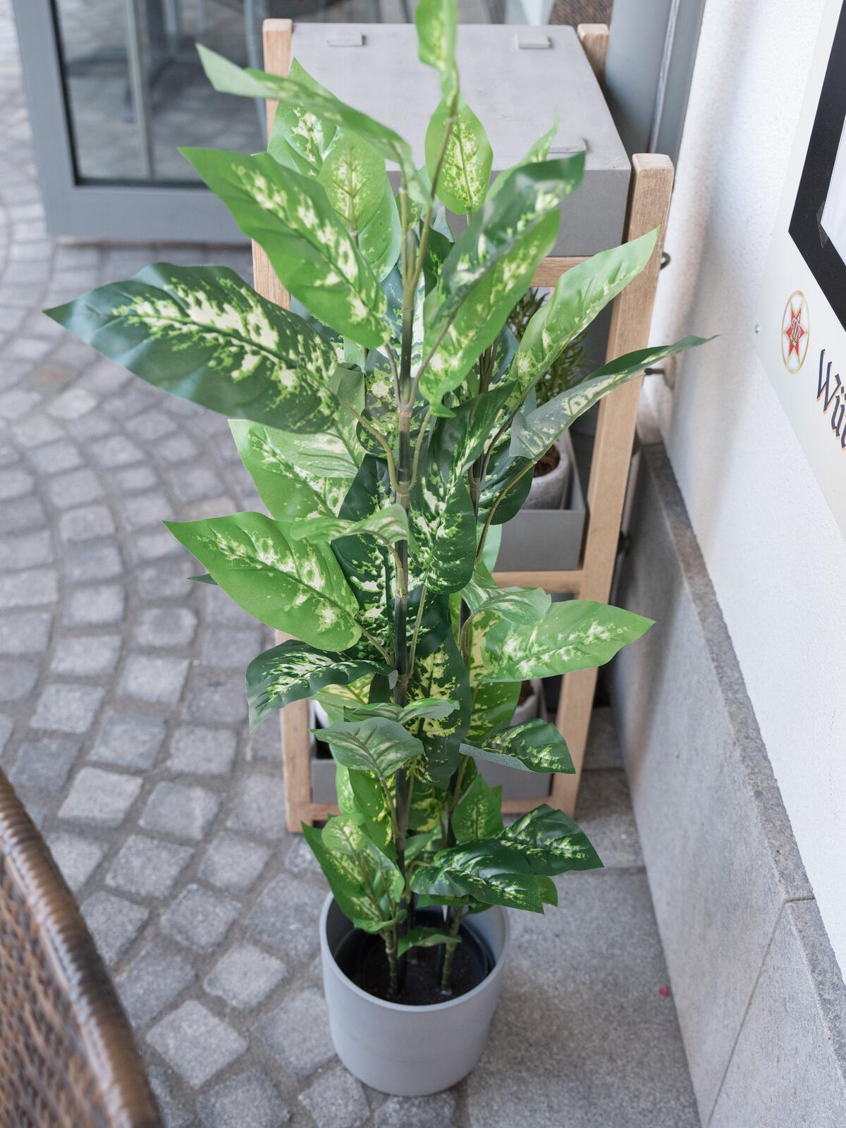 Europalms Dieffenbachia, künstlich, 120cm – Ansicht 2