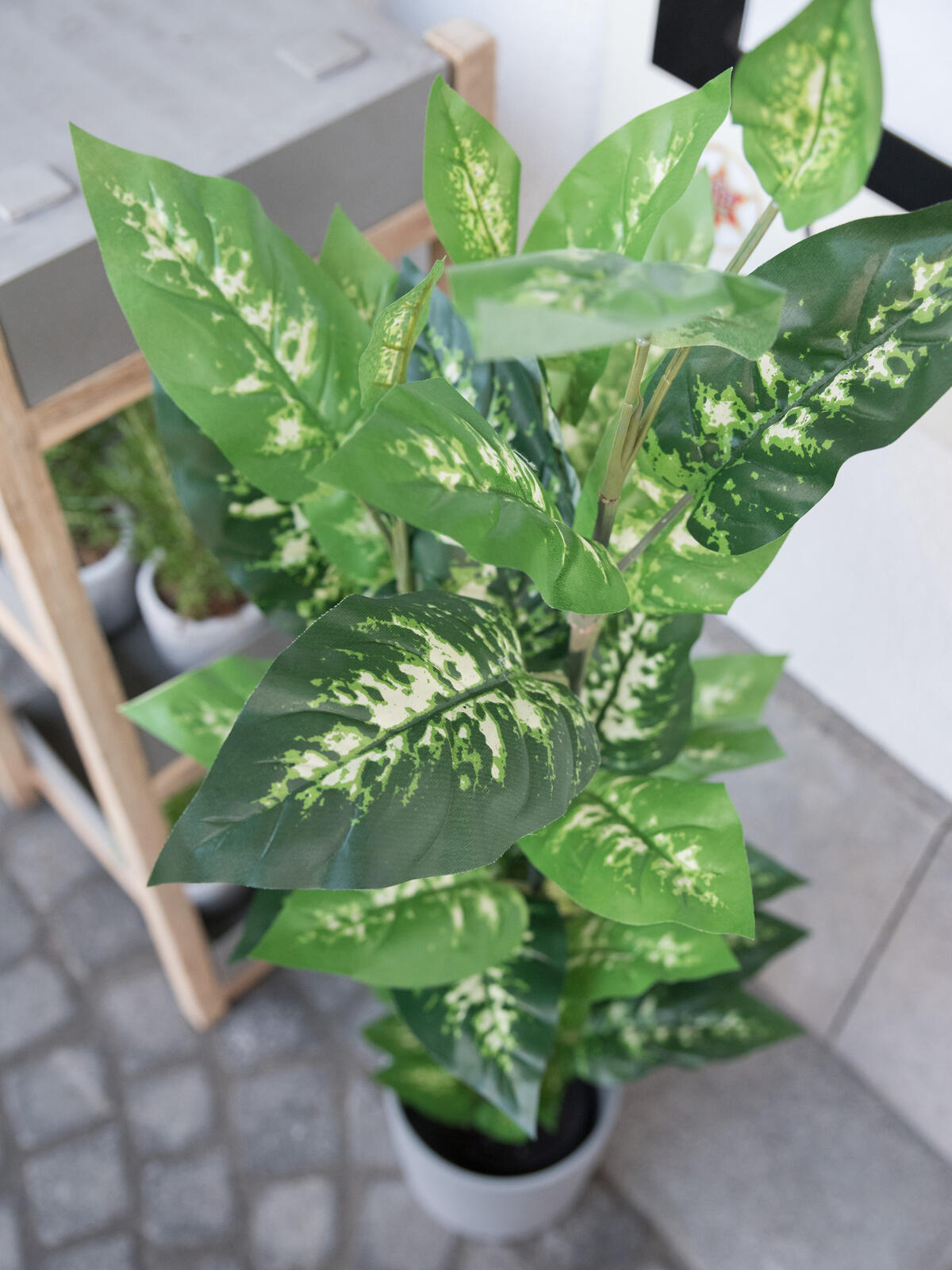 Europalms Dieffenbachia, künstlich, 120cm – Ansicht 4