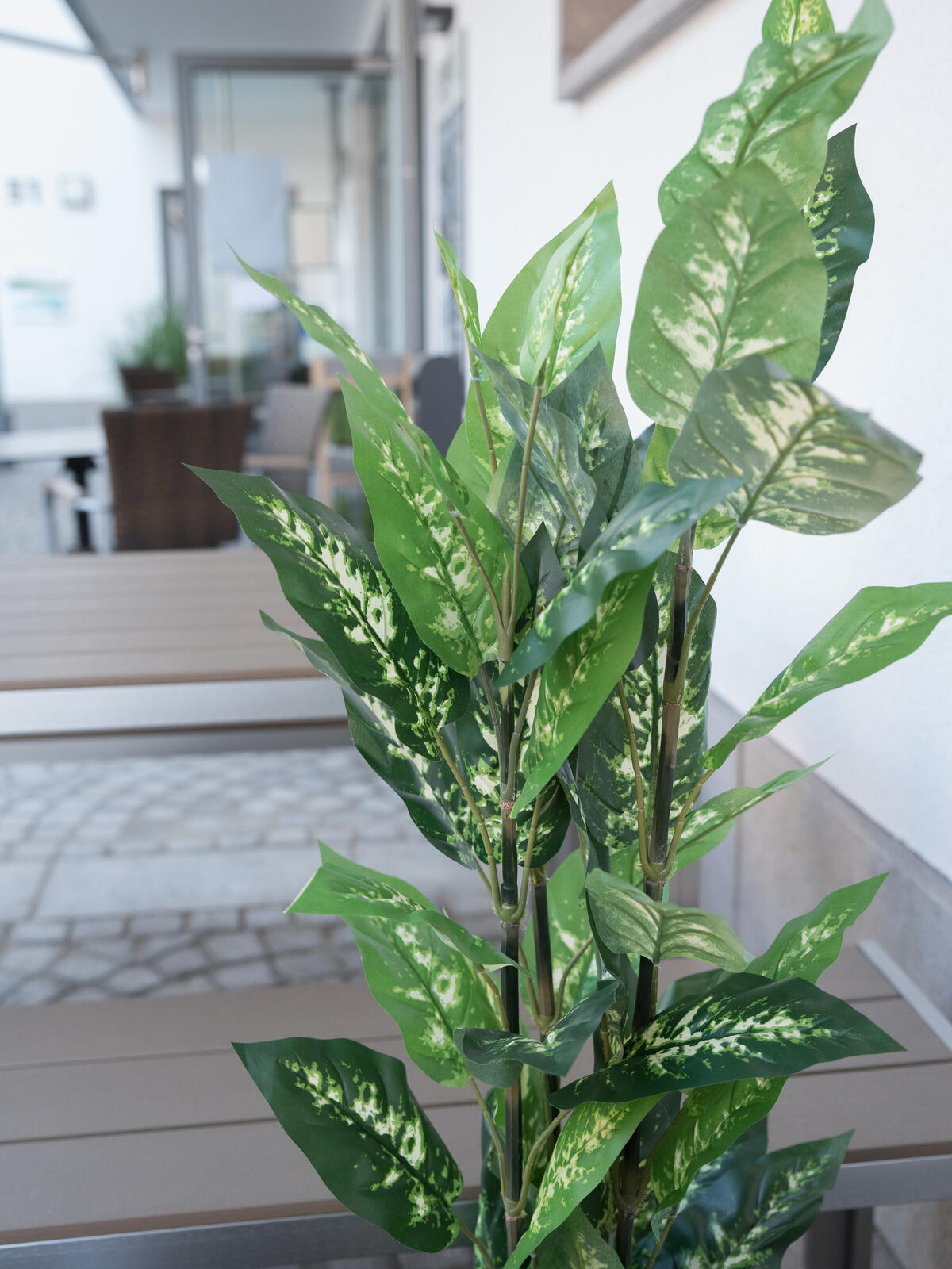 Europalms Dieffenbachia, künstlich, 120cm – Ansicht 5