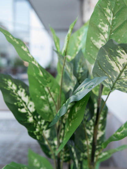 Europalms Dieffenbachia, künstlich, 120cm – Ansicht 6