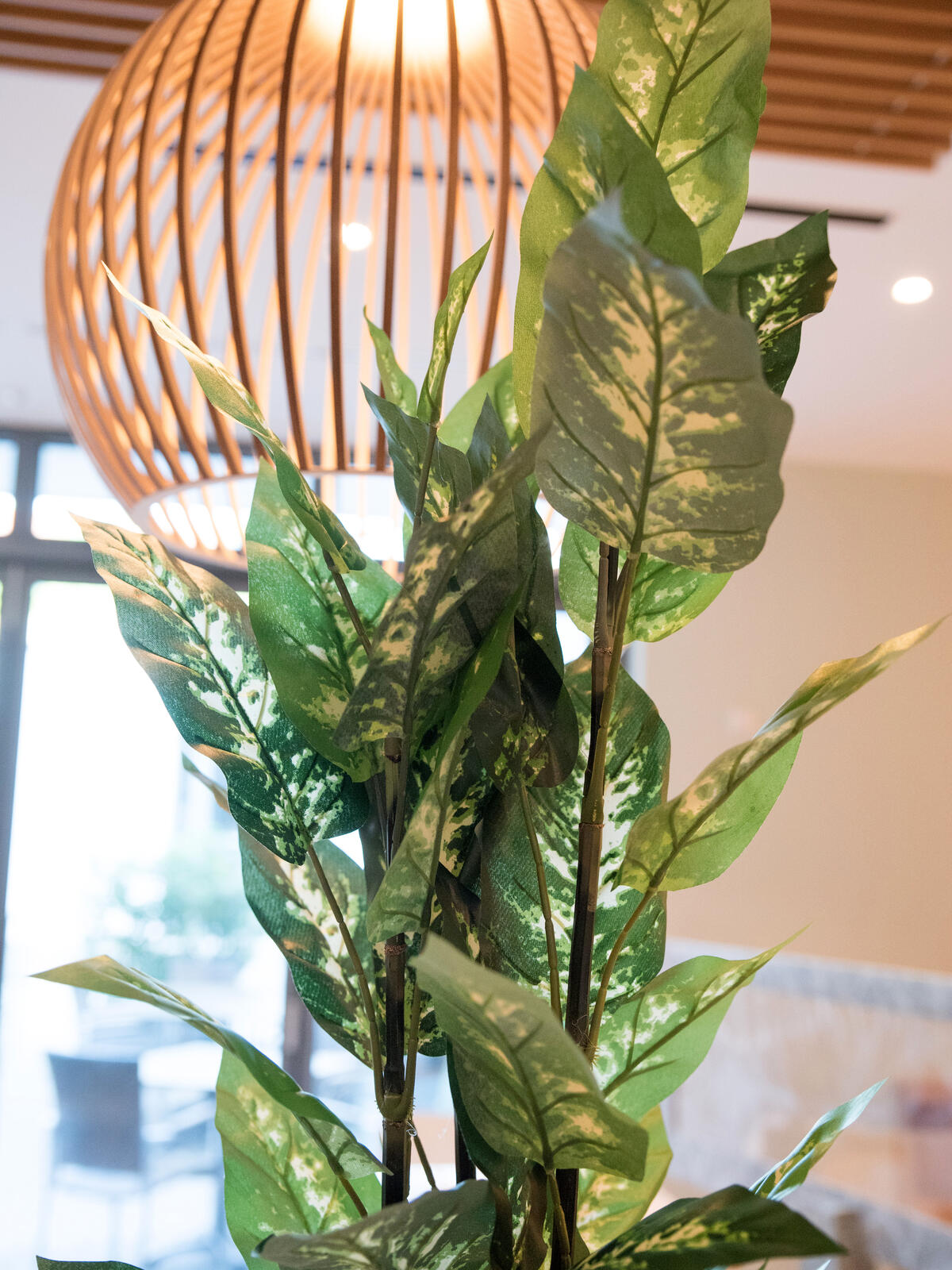 Europalms Dieffenbachia, künstlich, 120cm – Ansicht 7