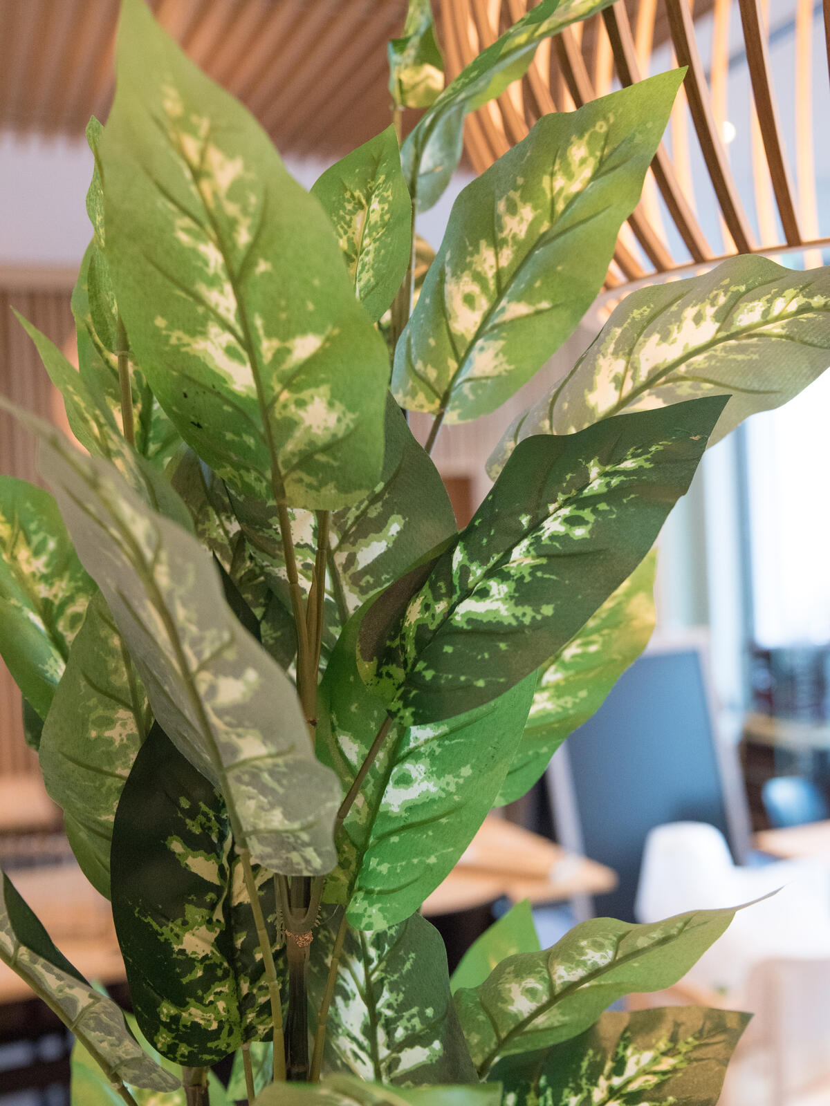 Europalms Dieffenbachia, künstlich, 120cm – Ansicht 8