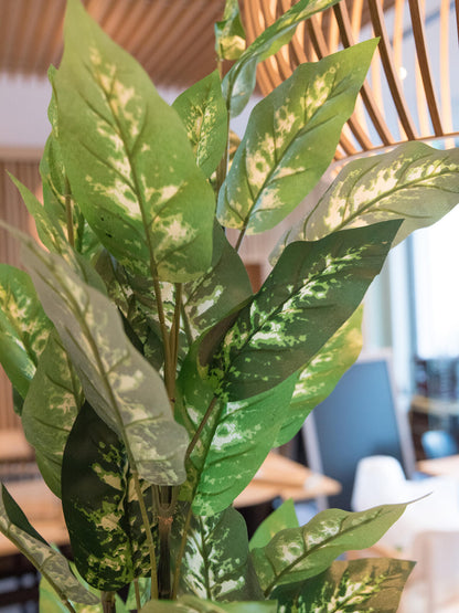 Europalms Dieffenbachia, künstlich, 120cm – Ansicht 8