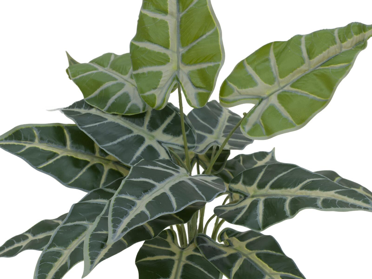 Europalms Caladium, Kunstpflanze, 38cm – Ansicht 2