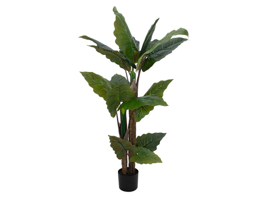 Europalms Pfeilblatt - Alocasia, Kunstpflanze, 140cm