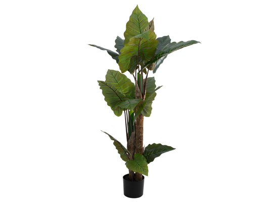 Europalms Pfeilblatt - Alocasia, Kunstpflanze, 140cm – Ansicht 2