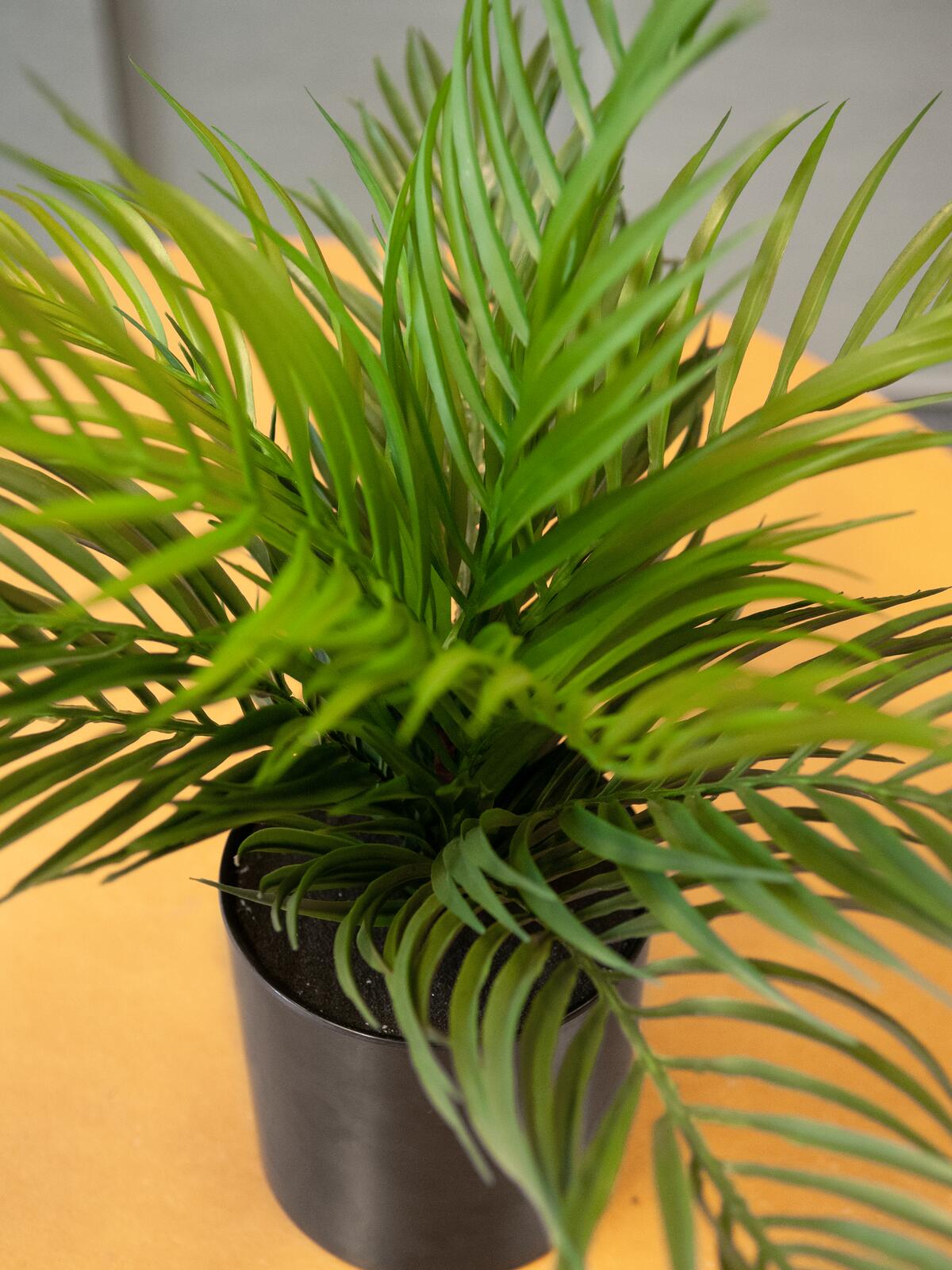 Europalms Goldfruchtpalme, Kunstpflanze, 46 cm – Ansicht 4