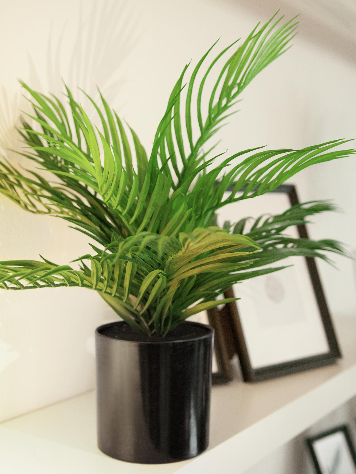 Europalms Goldfruchtpalme, Kunstpflanze, 46 cm – Ansicht 5