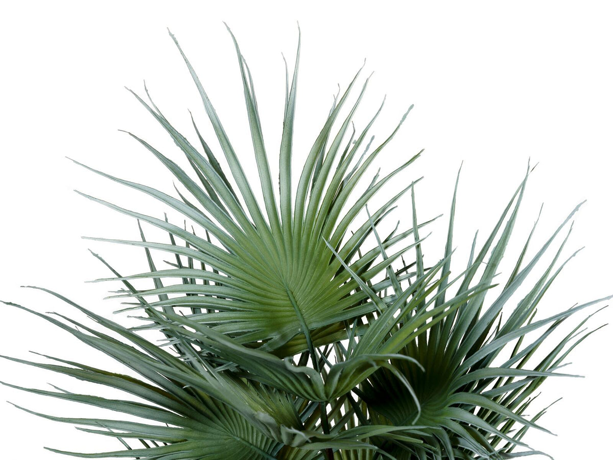 Europalms Fächerpalme, Kunstpflanze, 55cm – Ansicht 2