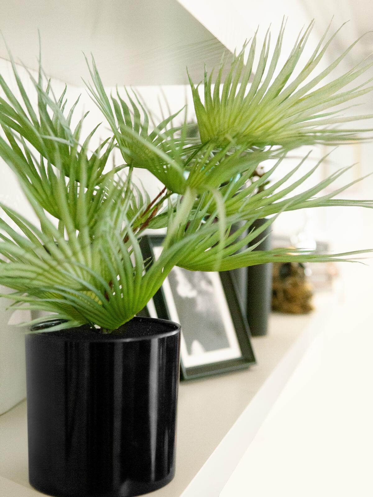 Europalms Fächerpalme, Kunstpflanze, 55cm – Ansicht 3