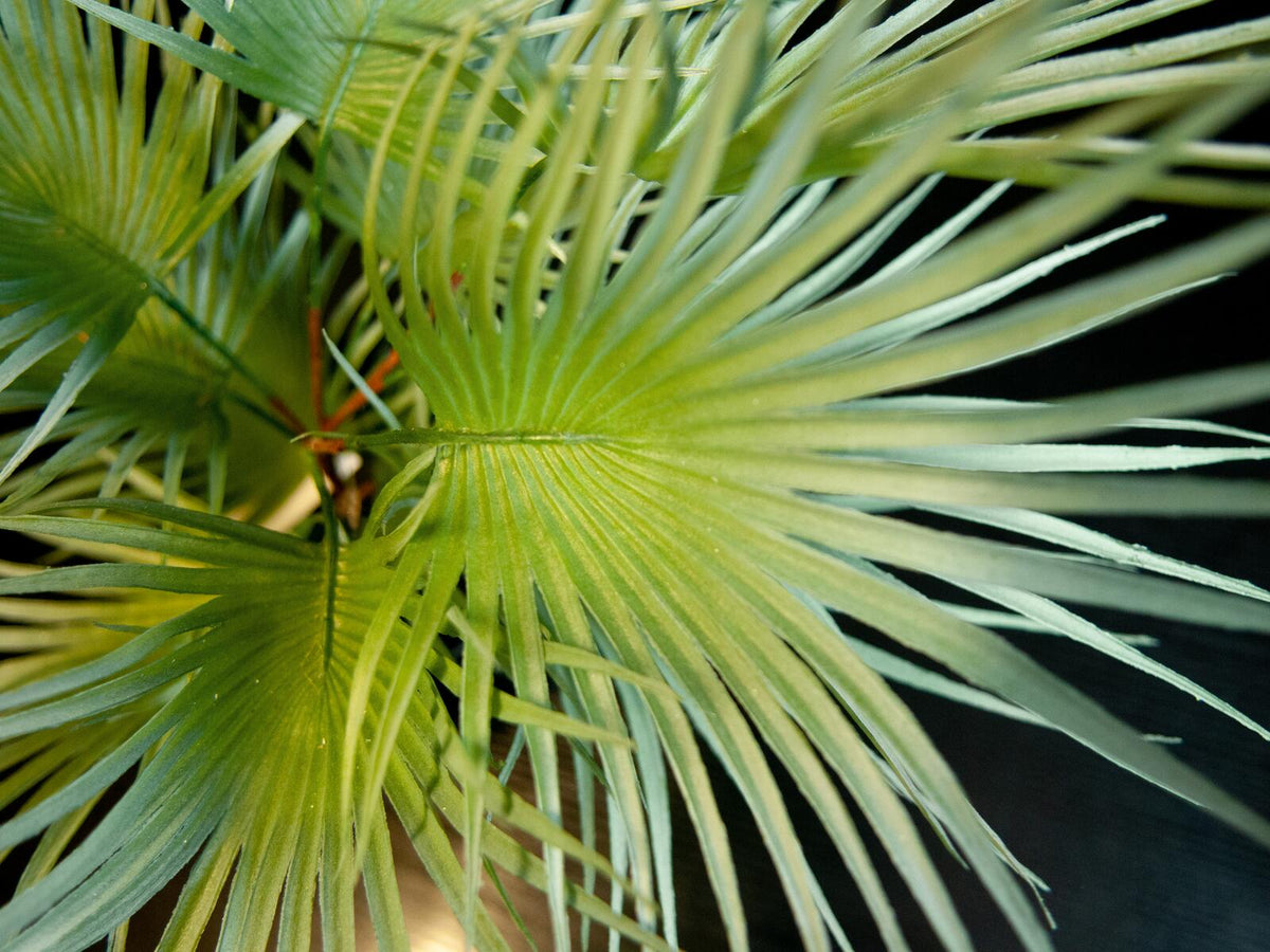 Europalms Fächerpalme, Kunstpflanze, 55cm – Ansicht 4