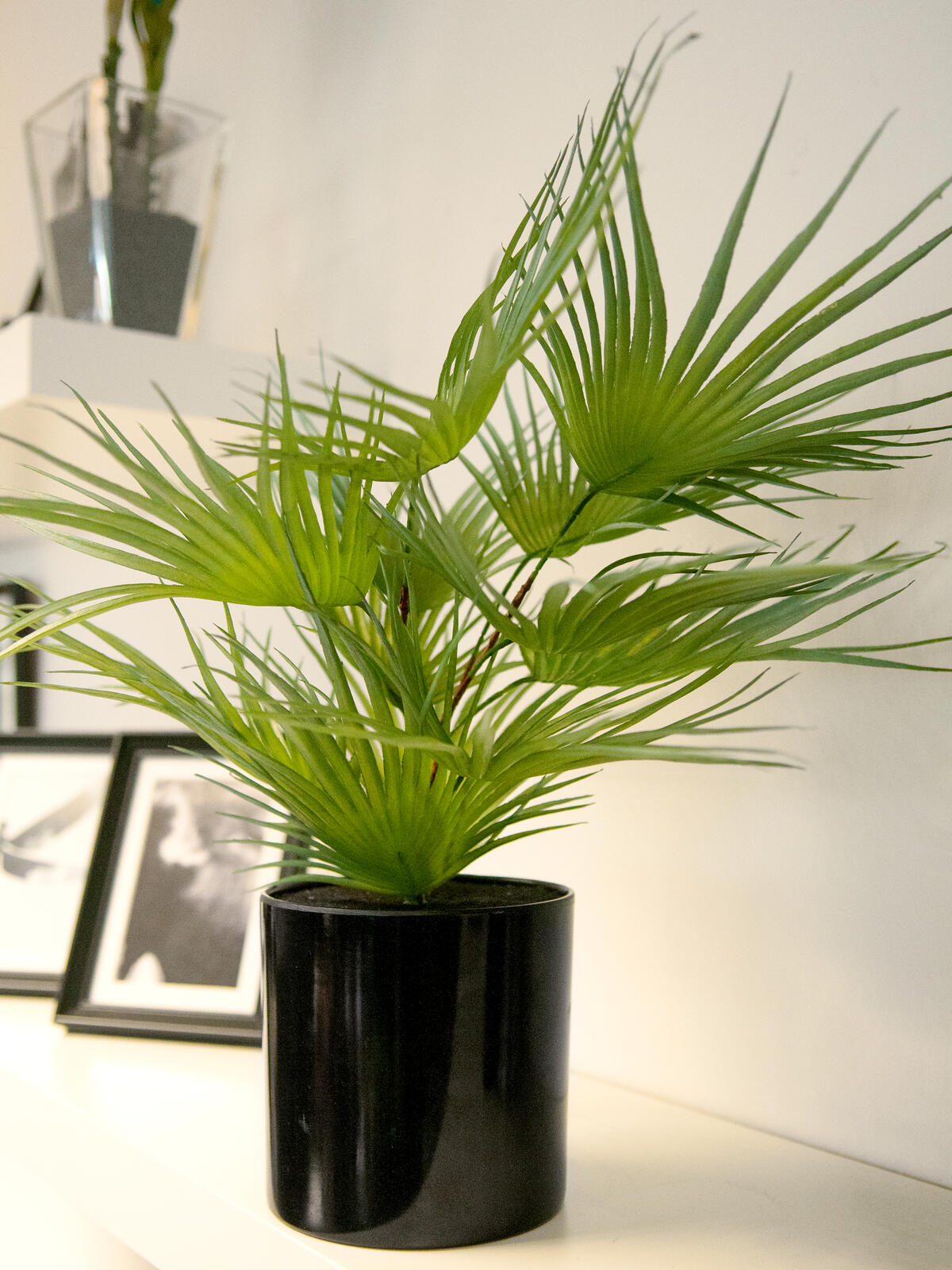 Europalms Fächerpalme, Kunstpflanze, 55cm – Ansicht 5