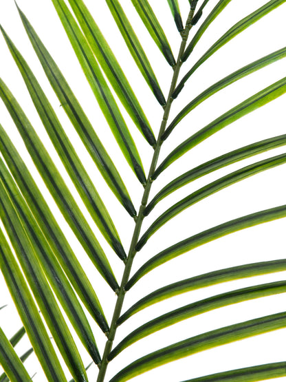 Europalms Großblatt-Areca, Kunstpflanze, 165cm – Ansicht 2