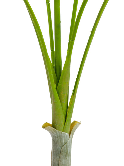 Europalms Areca deluxe, Kunstpflanze, 180cm – Ansicht 2
