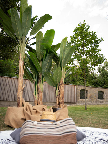 Europalms Bananenbaum, Kunstpflanze, 120cm – Ansicht 7