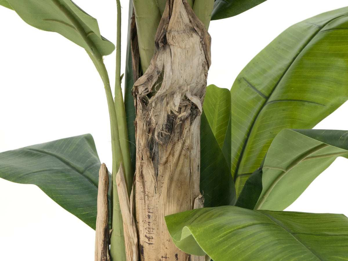 Europalms Bananenbaum, Kunstpflanze, 170cm – Ansicht 3