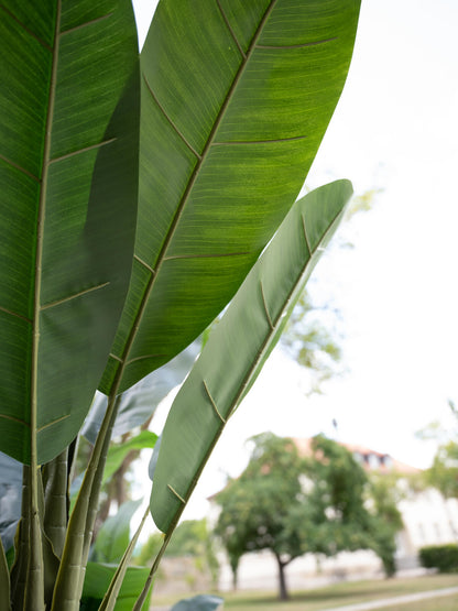 Europalms Bananenbaum, Kunstpflanze, 170cm – Ansicht 6