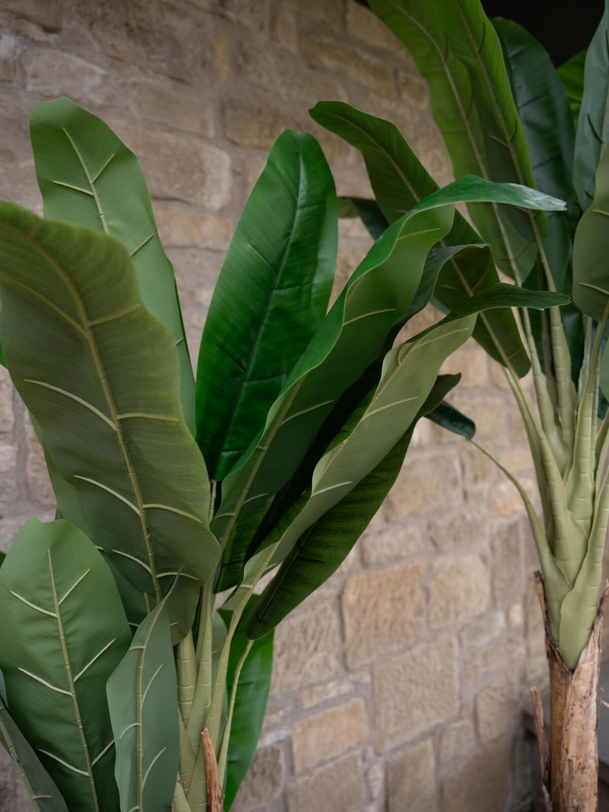 Europalms Bananenbaum, Kunstpflanze, 170cm – Ansicht 9