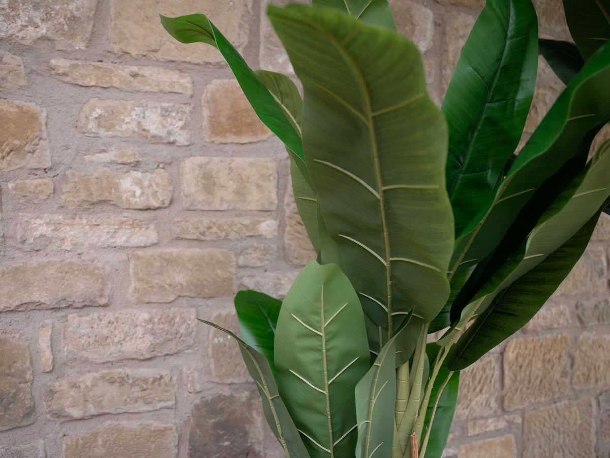 Europalms Bananenbaum, Kunstpflanze, 170cm – Ansicht 10