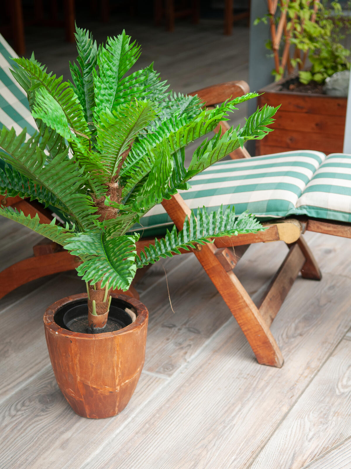Europalms Cycas Palme, Kunstpflanze, 70cm – Ansicht 5