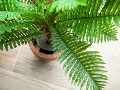 Europalms Cycas Palme, Kunstpflanze, 70cm – Ansicht 8