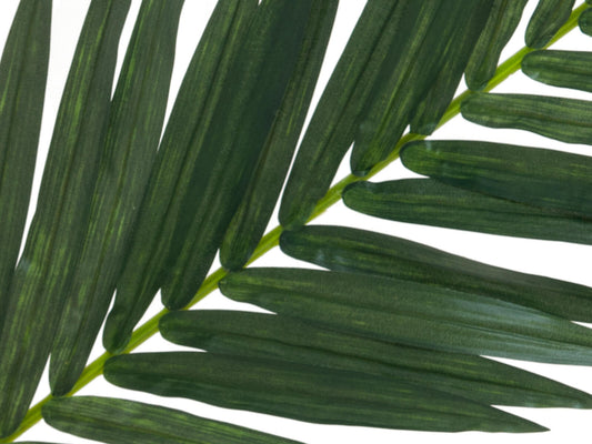 Europalms Kokos-Königspalmwedel, künstlich, 150cm – Ansicht 2