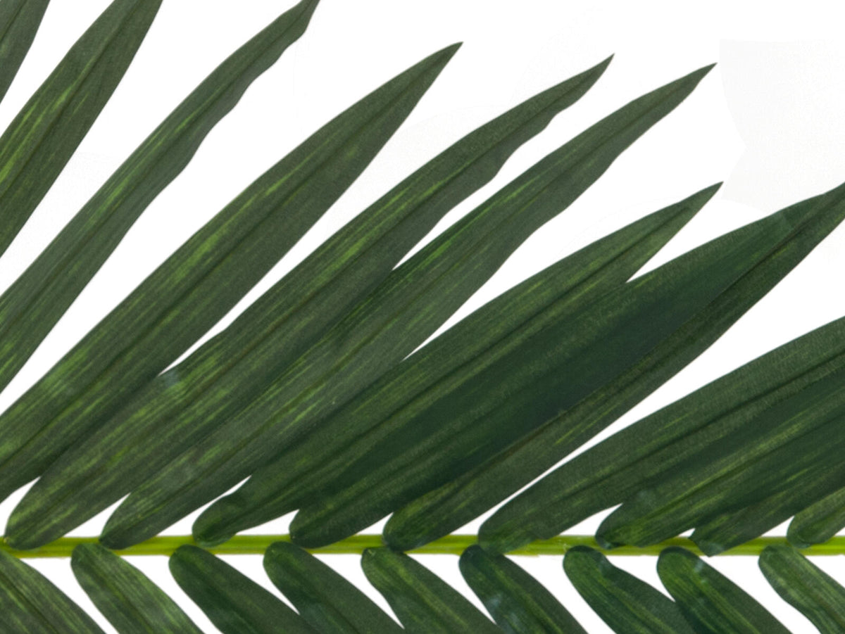 Europalms Kokos-Königspalmwedel, künstlich, 150cm – Ansicht 3