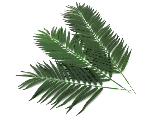 Europalms Kokos-Palmwedel, künstlich, 80cm 12x – Ansicht 2
