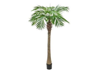 Europalms Phönixpalme luxor, Kunstpflanze, 300cm