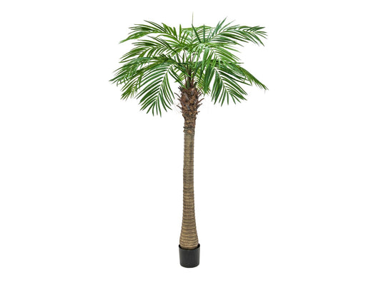 Europalms Phönixpalme luxor, Kunstpflanze, 300cm