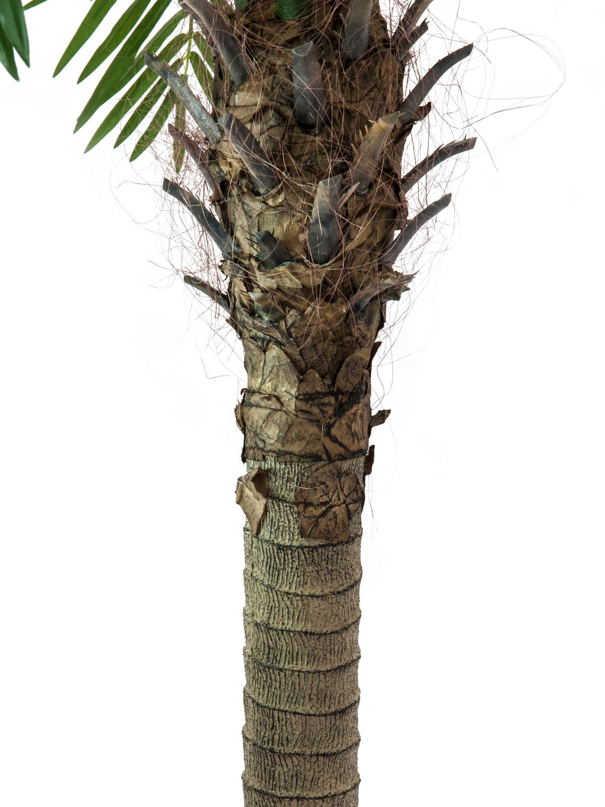 Europalms Phönixpalme luxor, Kunstpflanze, 300cm – Ansicht 4
